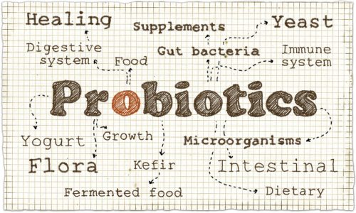 Sant Intestinale Comment Prendre Soin De Son Microbiote Intestinal